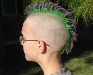 William's mohawk