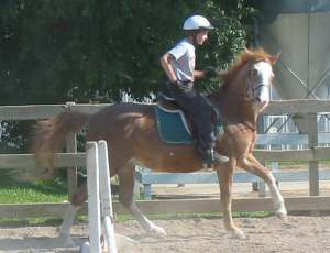William guides his skittish mount past a jump.