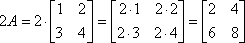 2A = 2 × [[ 1  2 ][ 3  4 ]] = [[ 2×1  2×2 ][ 2×3  2×4 ]] = [[ 2  4 ][ 6  8 ]]