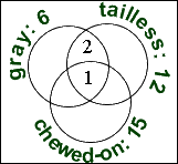"2" is in the remaining overlap between "gray" and "tailless"